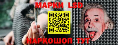 крисы Можга