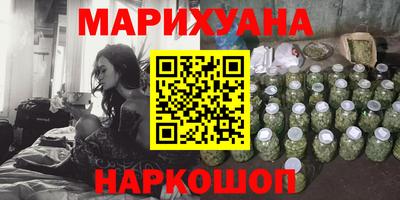 крисы Можга