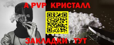 крисы Можга