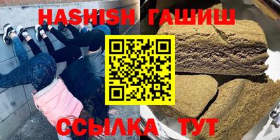 крисы Можга