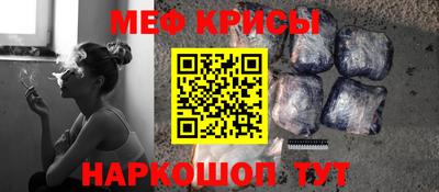 крисы Можга